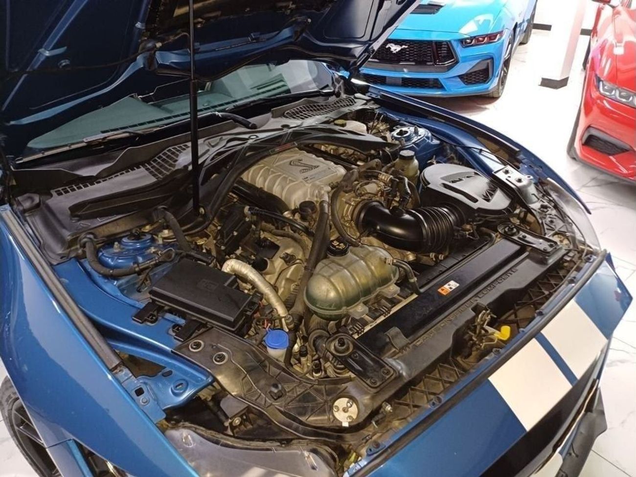 Ford Mustang Shelby Cobra