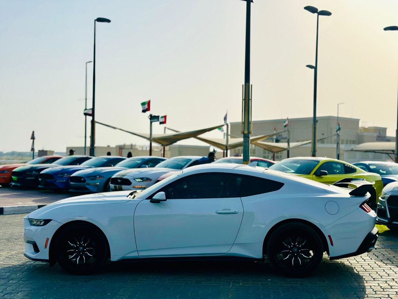 فورد موستانج STD