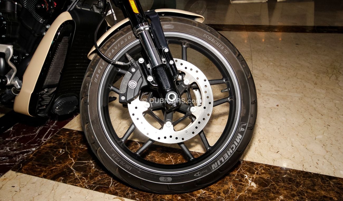 Harley-Davidson VRSCF 1300 CC