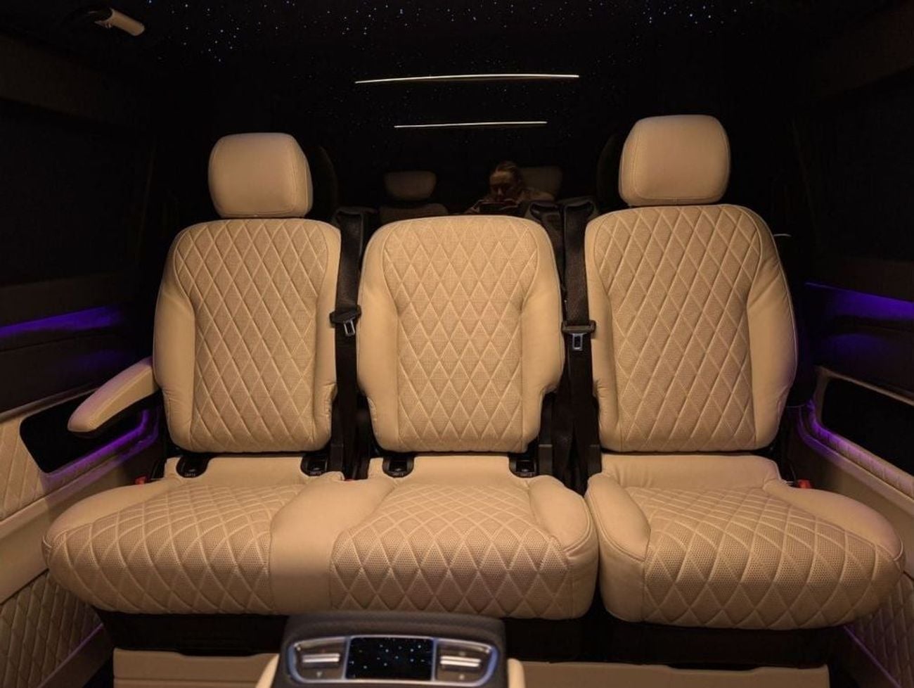 Mercedes Benz V300 AVANTGARDE VIP conversion Brand New 2025 Model in RHD or LHD