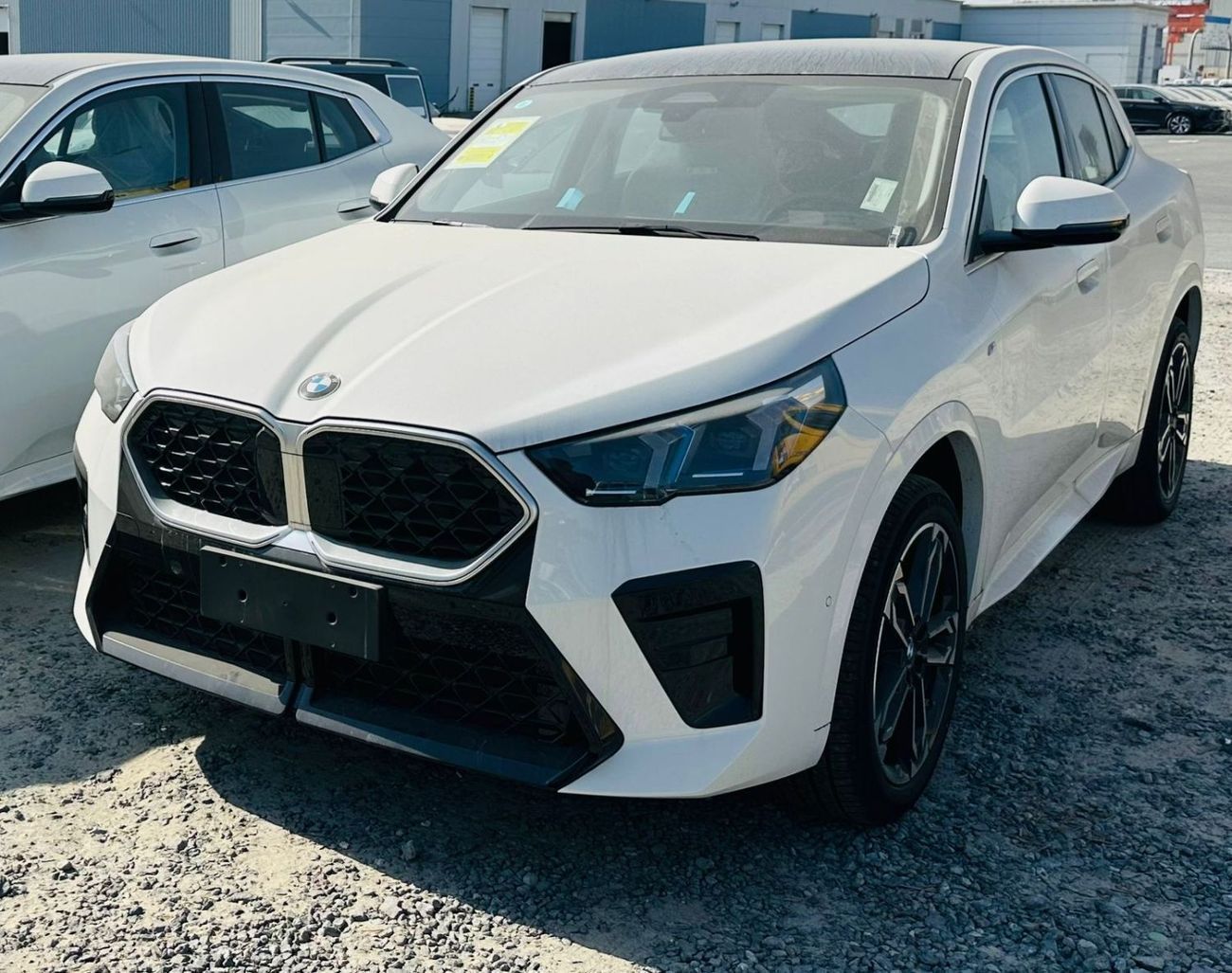 BMW X2 sDrive25i M Sport Package