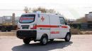 CMC Veryca Panel Van 1.5L RWD ( Only For Export ) 2025 CMC Veryca Panel Van 1.5L RWD GCC 0Km