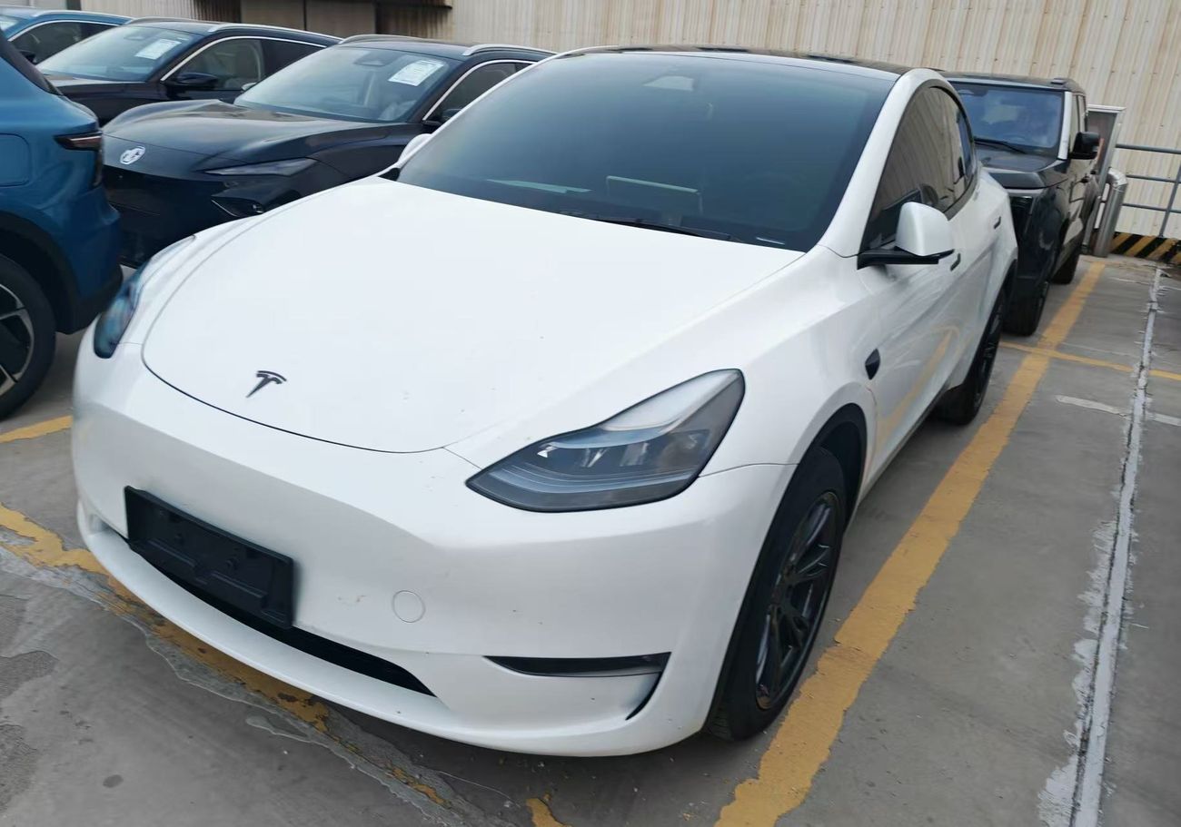 Tesla Model Y Long Range (AWD)