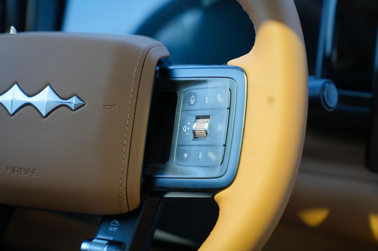 BYD Leopard 5 Leopard 5 Ultra Single Diff-Lock