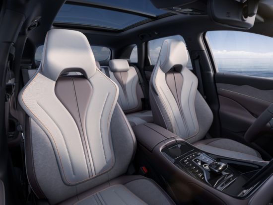 بي واي دي 07 فارايجايت interior - Seats
