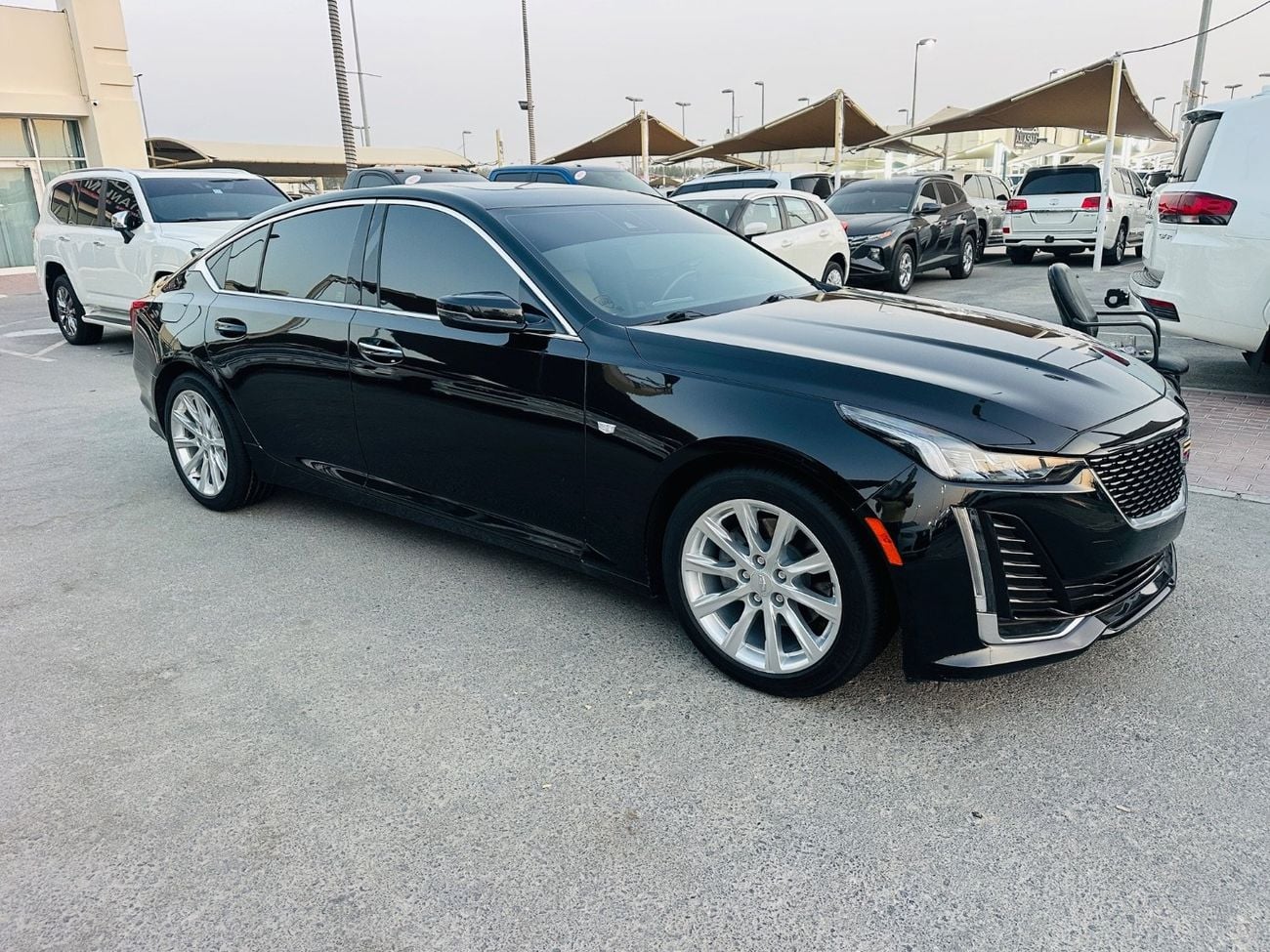 Cadillac CT5 PREMIUM LUXURY