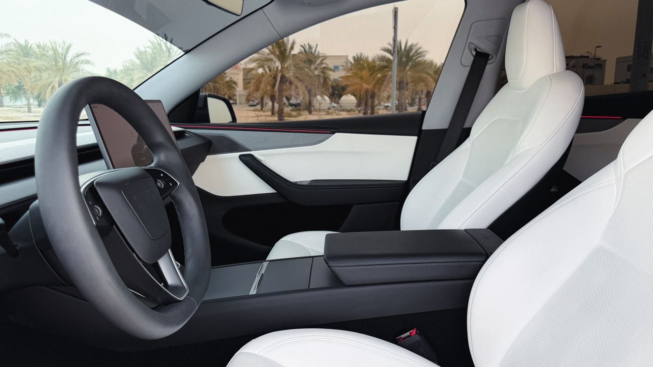 Tesla Model Y LONG RANGE