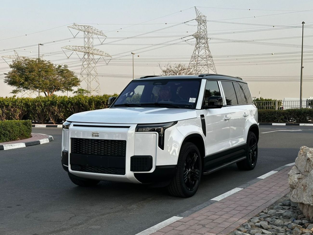 روكس 01 VIP 6 seats with warranty  5 years evs