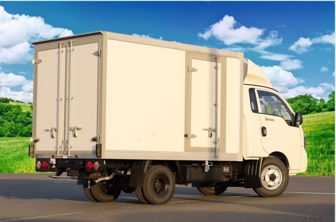 Kia K4000 3.0L DIESEL FREEZER 2024