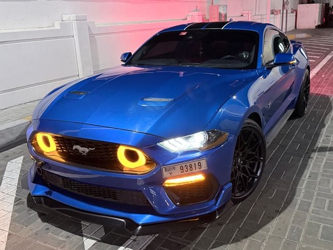 Ford Mustang, миниатюра 15