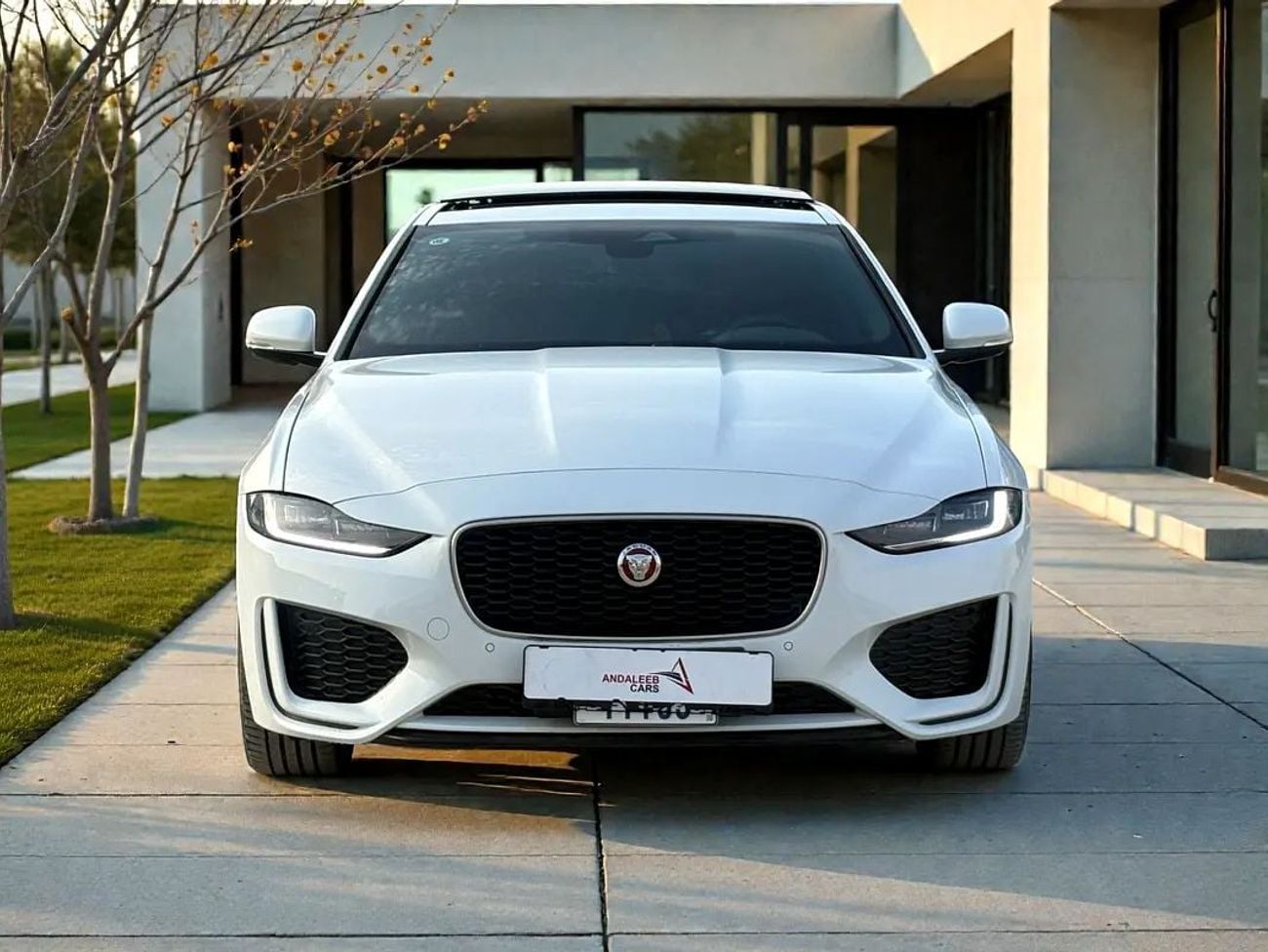 Jaguar XE STD S P250 2.0L