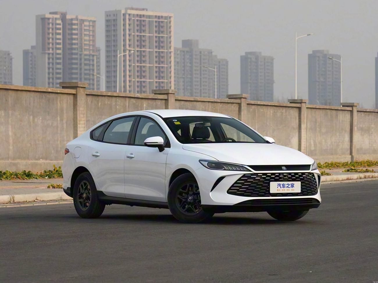 بي واي دي كين بلاس STD BYD QIN PLUS 2024 1.5L هجين 2024