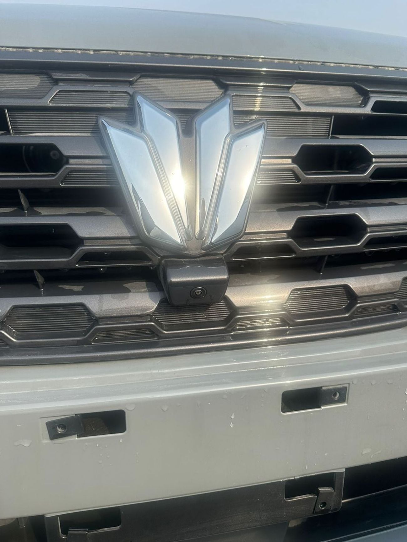 Dongfeng Paladin 2023 Export Price only