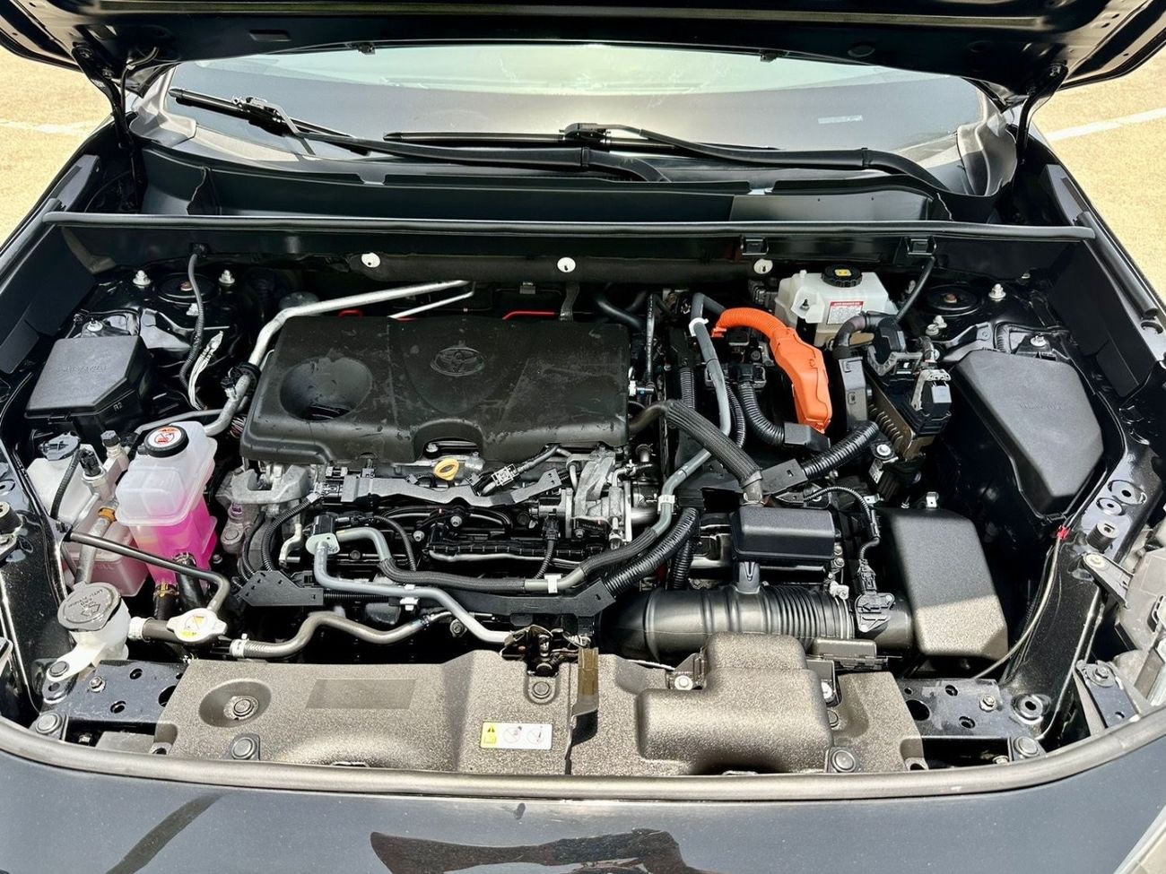 Toyota RAV4 2019 Toyota RAV4 XLE hybrid