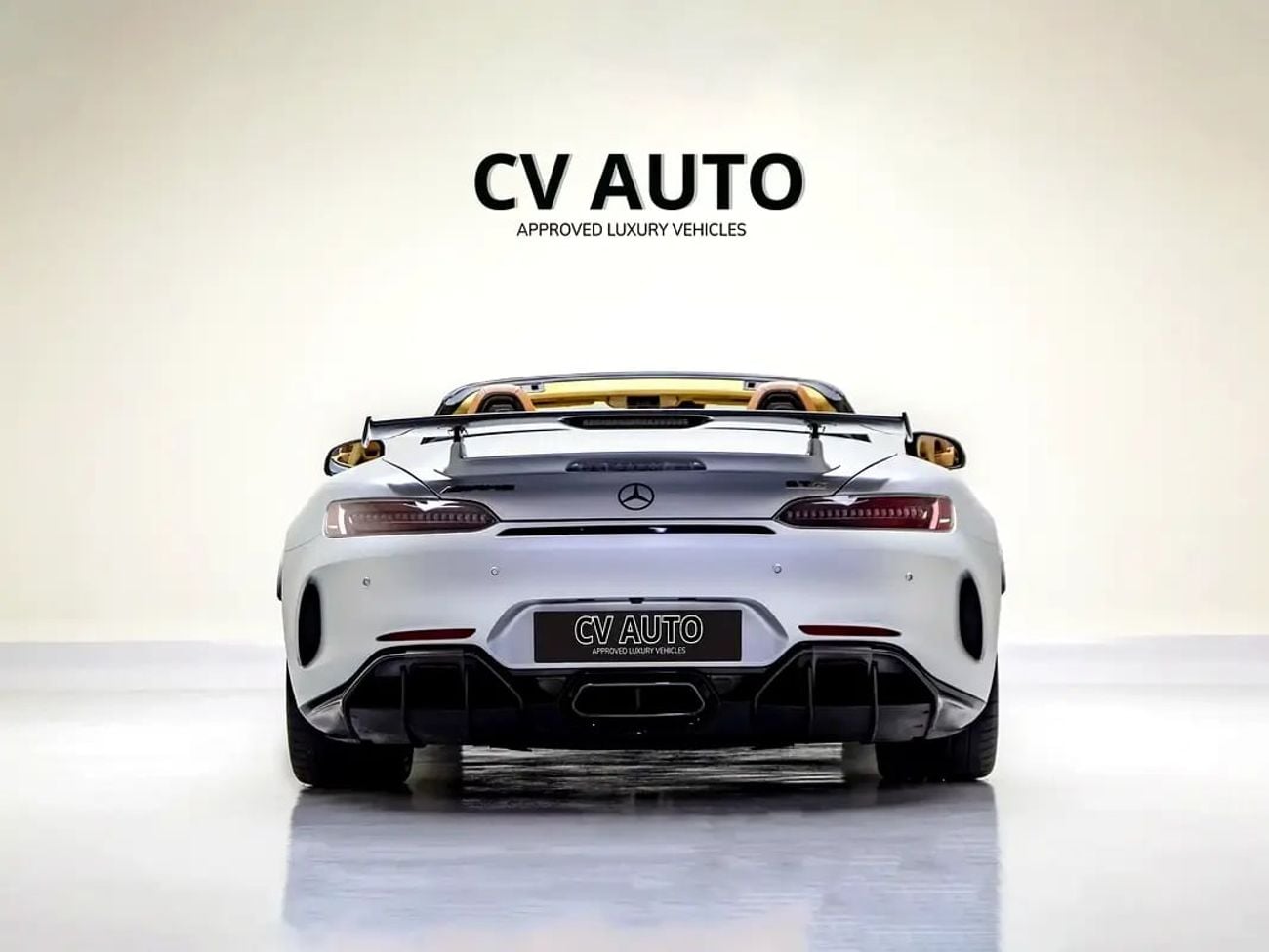 Mercedes Benz AMG GTR GT R | Euro Spec