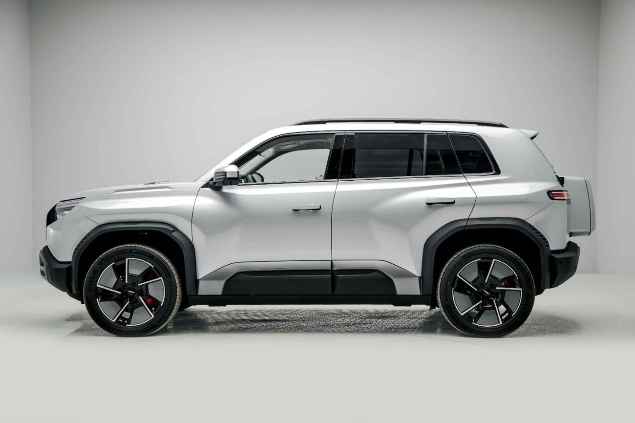 BYD Leopard Titanium 3 ID Ultra - Silver Inside Black | Export Only