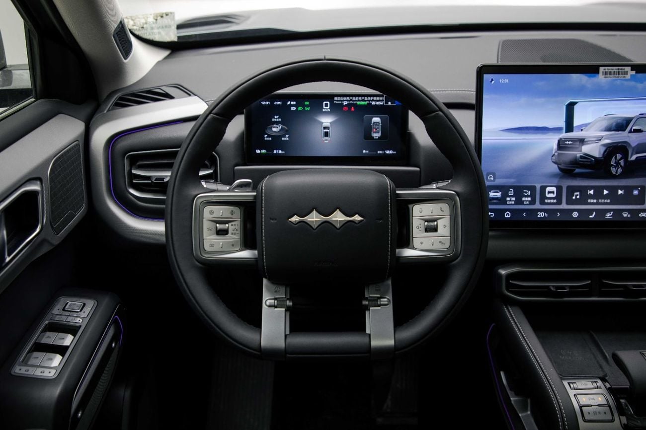 BYD Leopard Titanium 3 ID Ultra - Silver Inside Black | Export Only