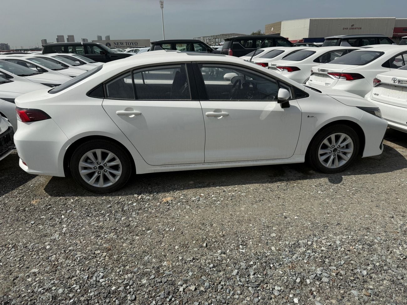 تويوتا كورولا