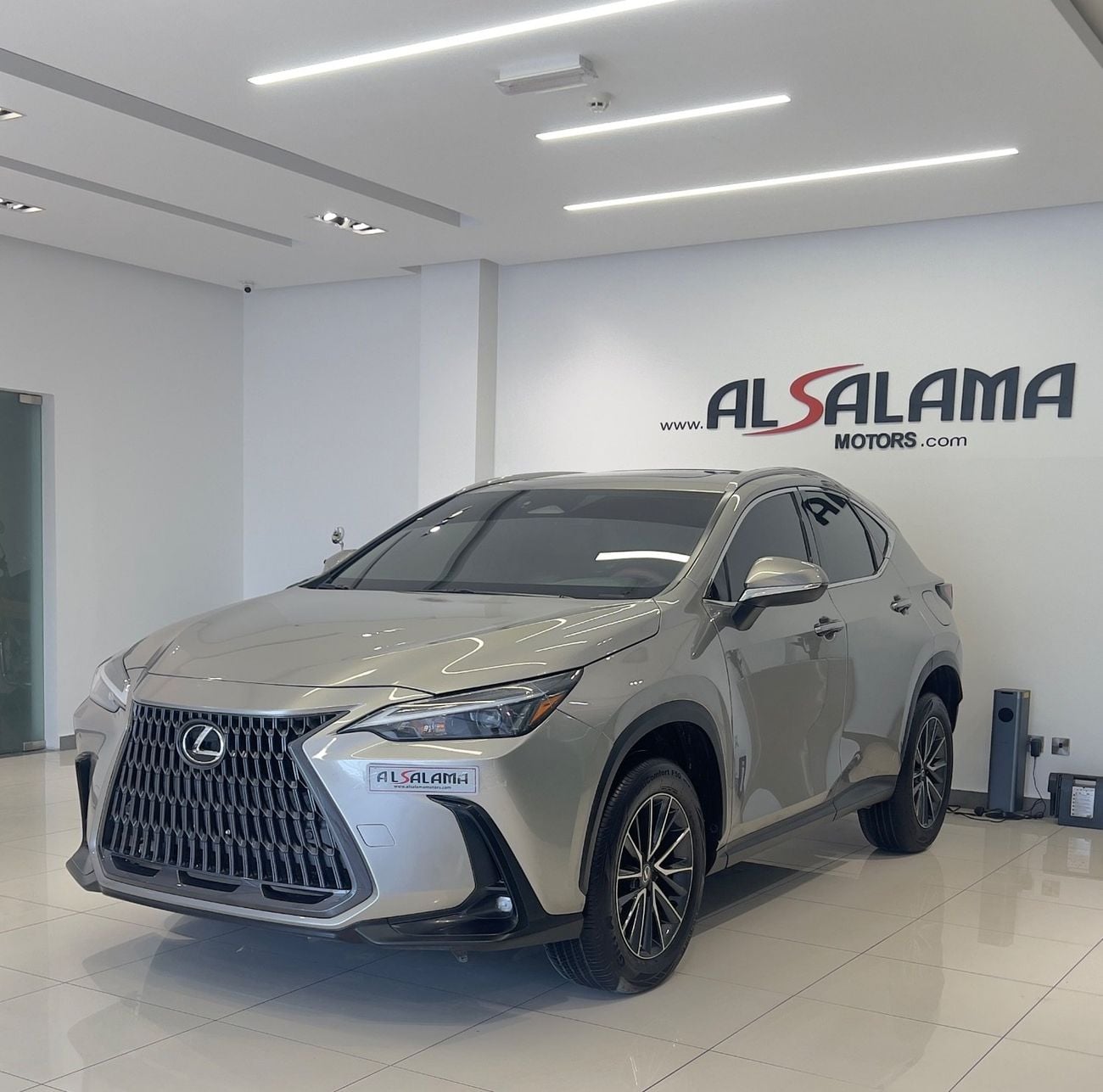 Lexus NX250 PREMIUM (NON GCC)