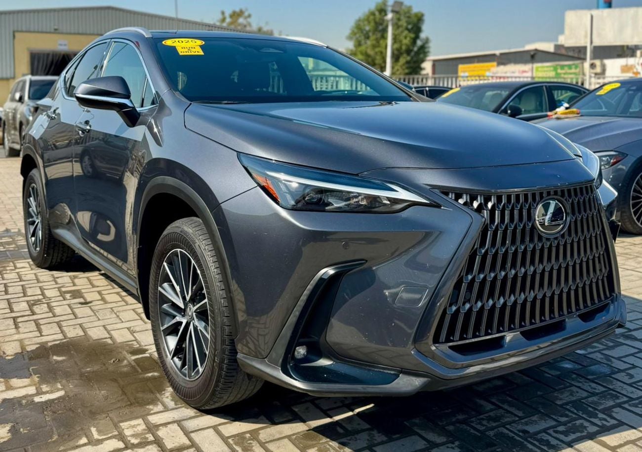 Lexus NX 250