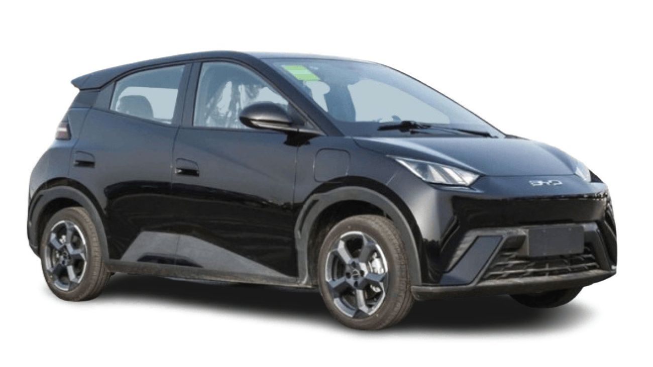 بي واي دي سيجول 