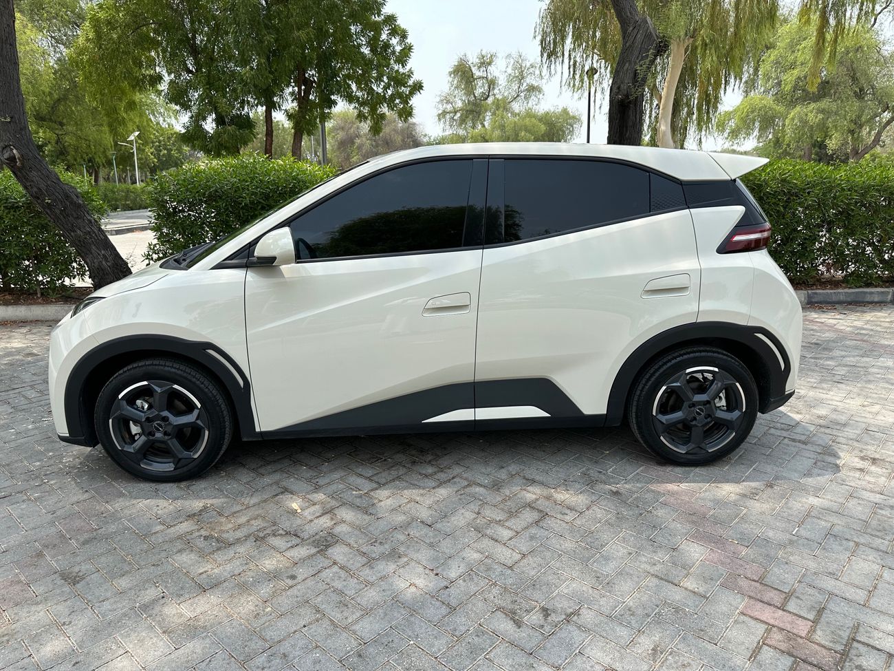 بي واي دي سيجول BYD seagull flying 405 GOLD warranty and service open KM