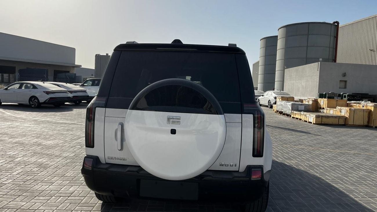 روكس 01 6 Seaters VIP