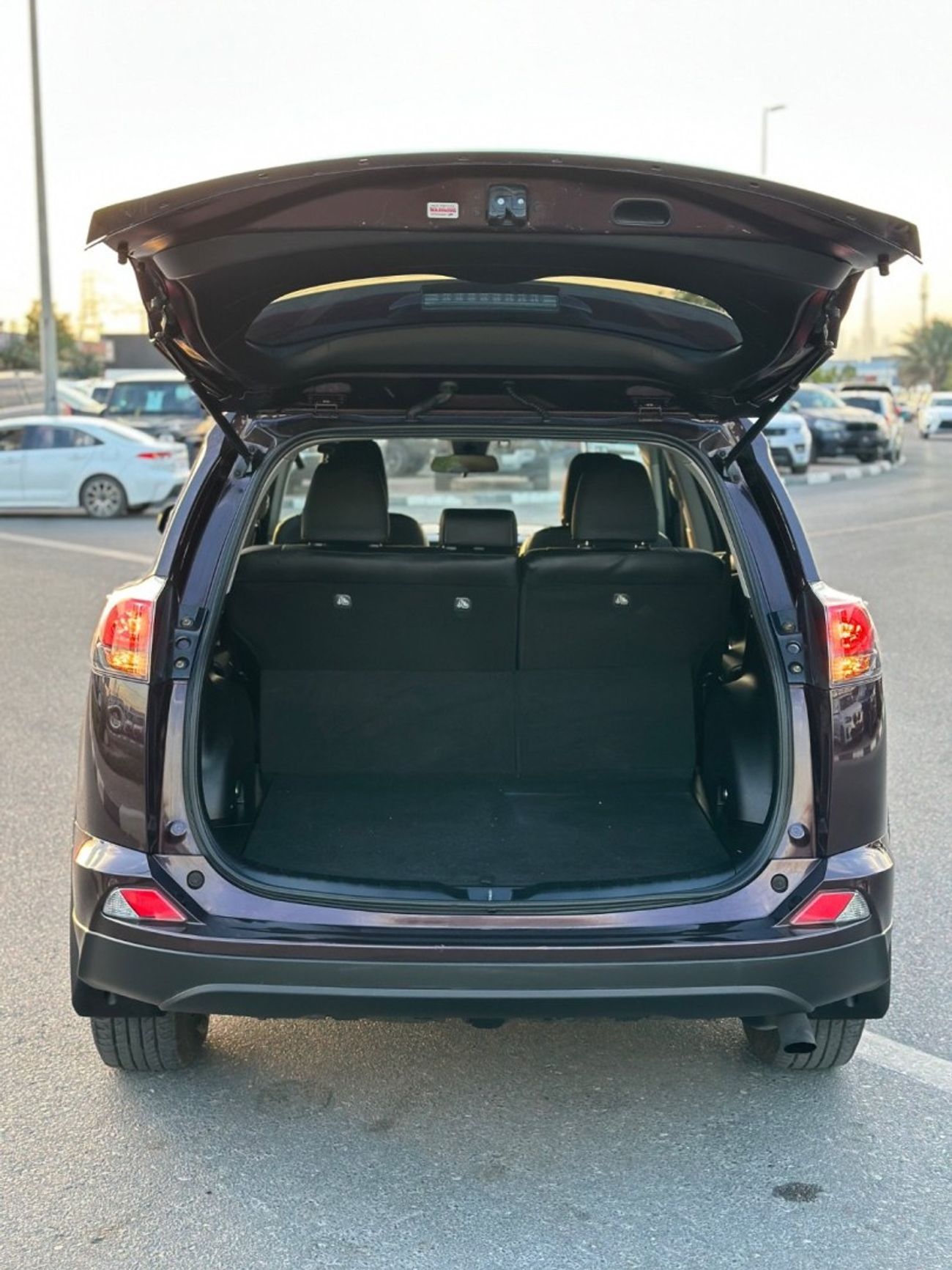 Toyota RAV4 TOYOTA RAV4 2018