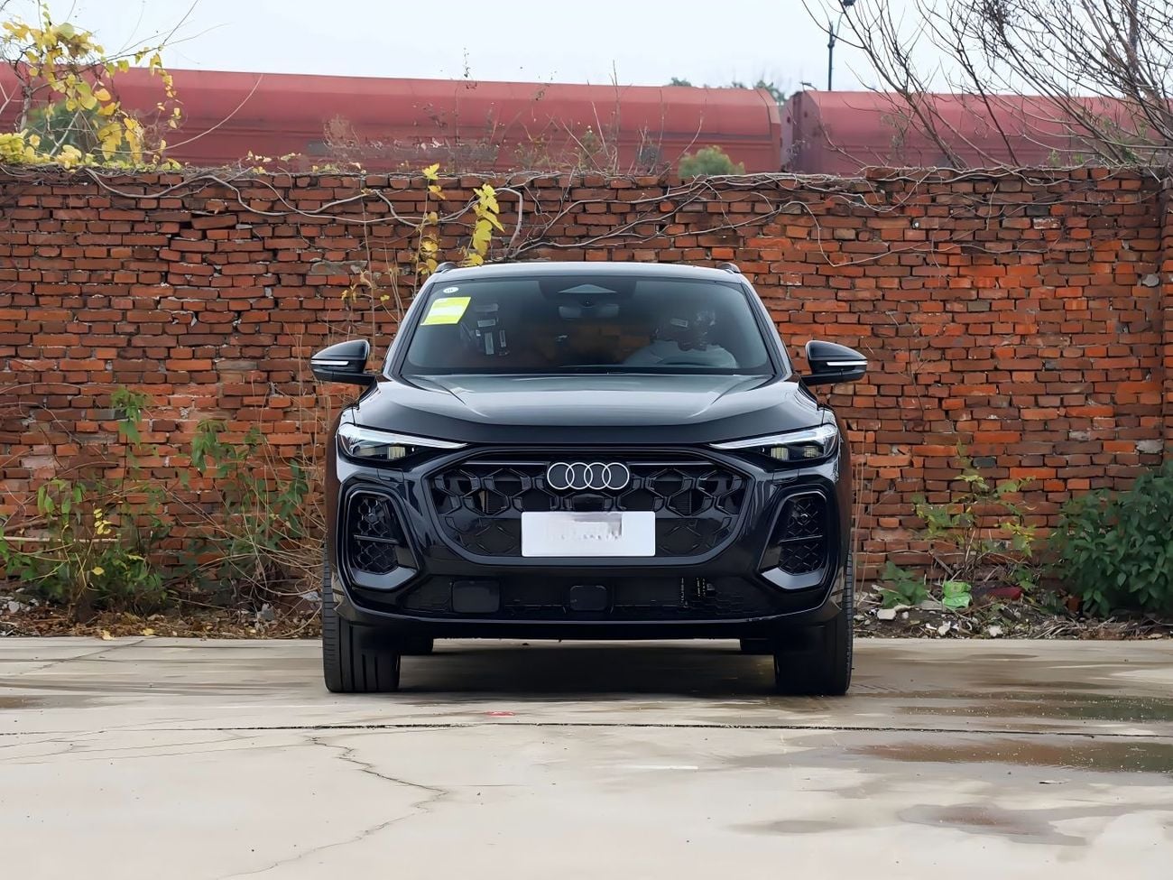 Audi Q5 Audi Q5L Intelligent Hybrid Premium Edition