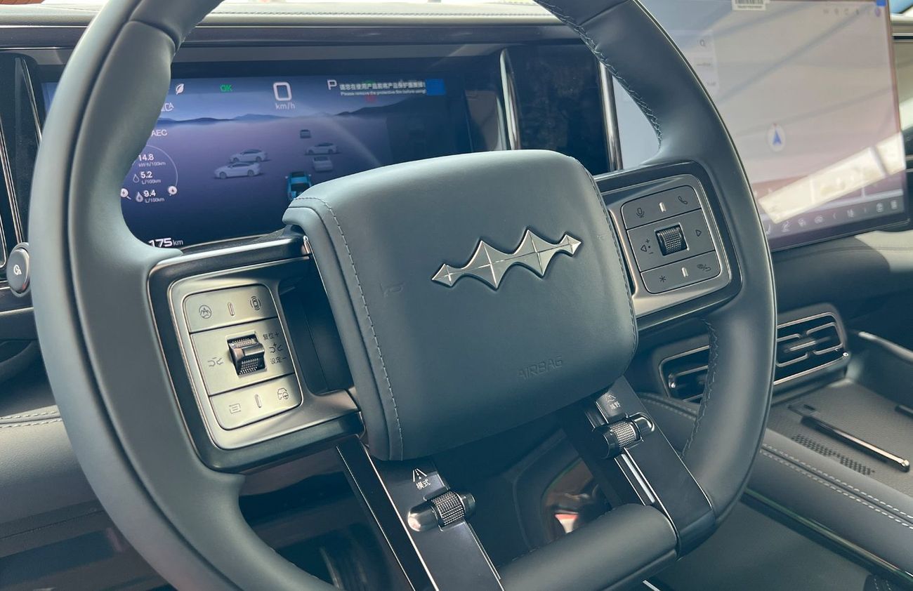 بي واي دي ليوبارد 5 Navigator 2025 Leopard 5