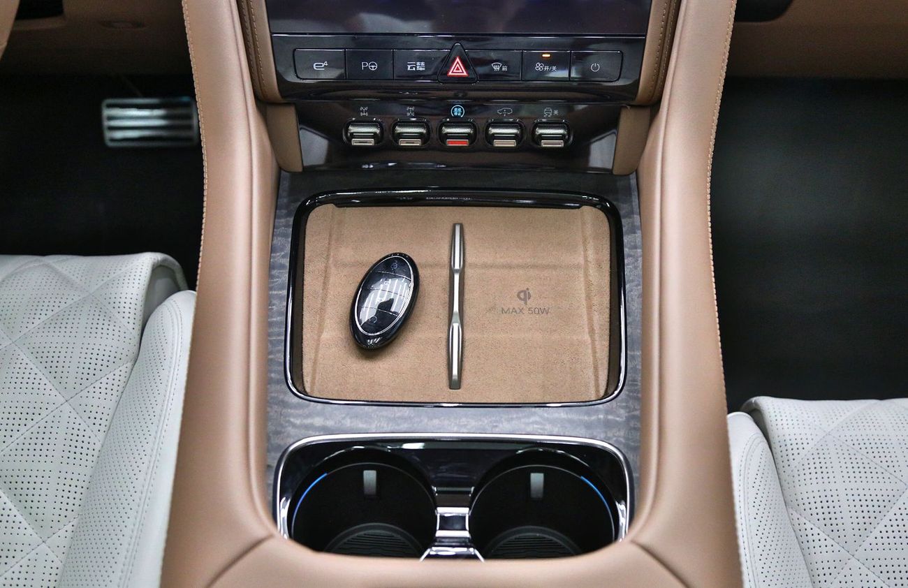 يانغوانغ U8 2025 YangWang Premium Edition (Local registration)