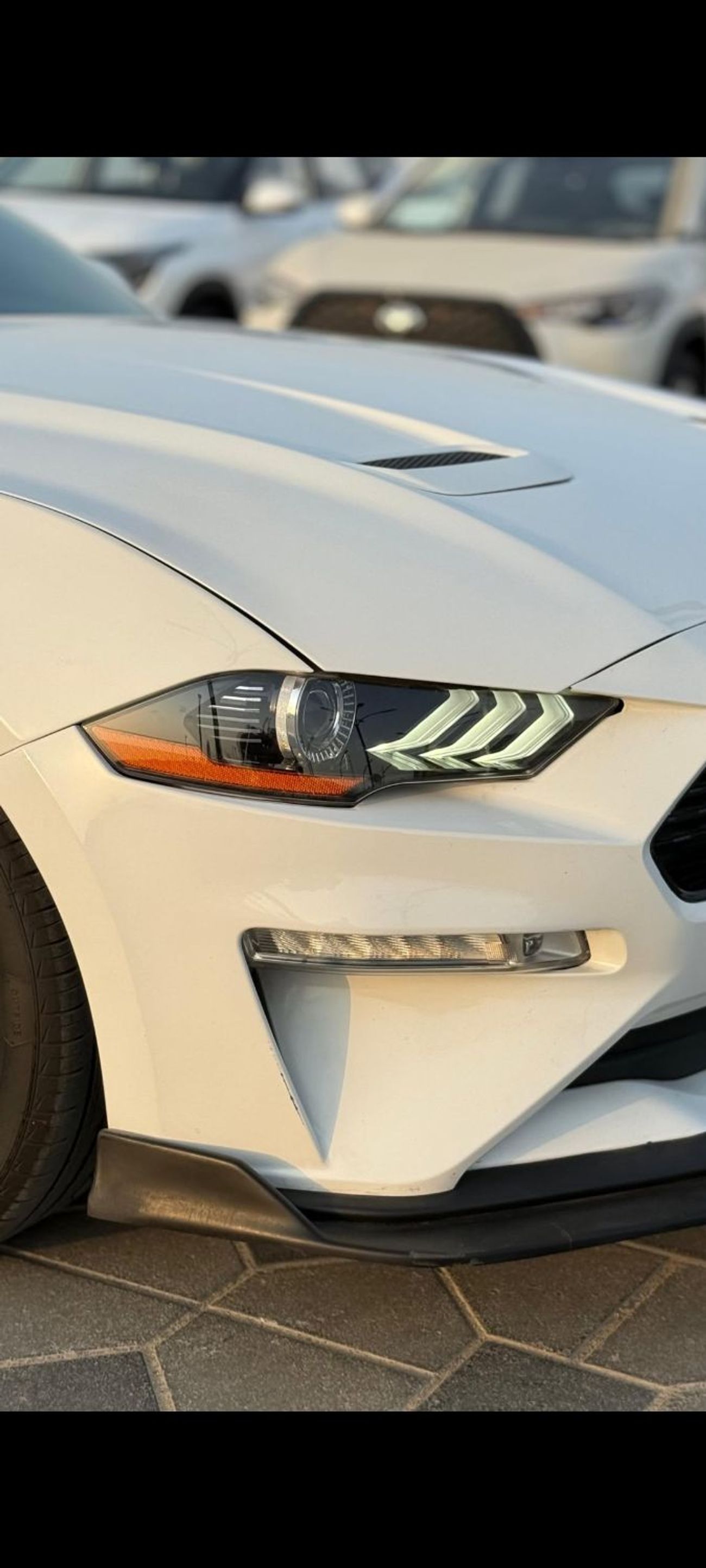 فورد موستانج