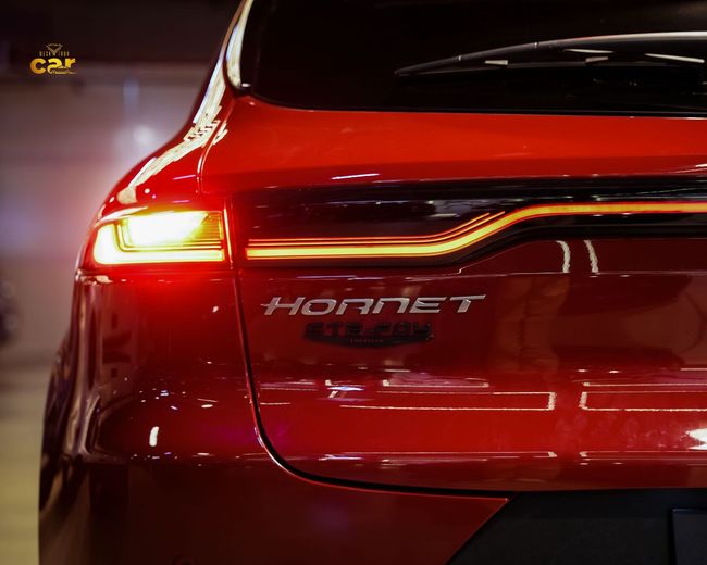Dodge Hornet, миниатюра 26
