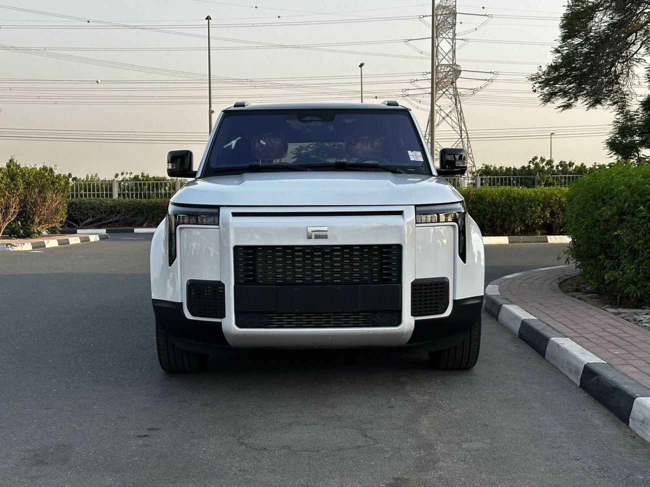 روكس 01 VIP 6 seats with warranty  5 years evs