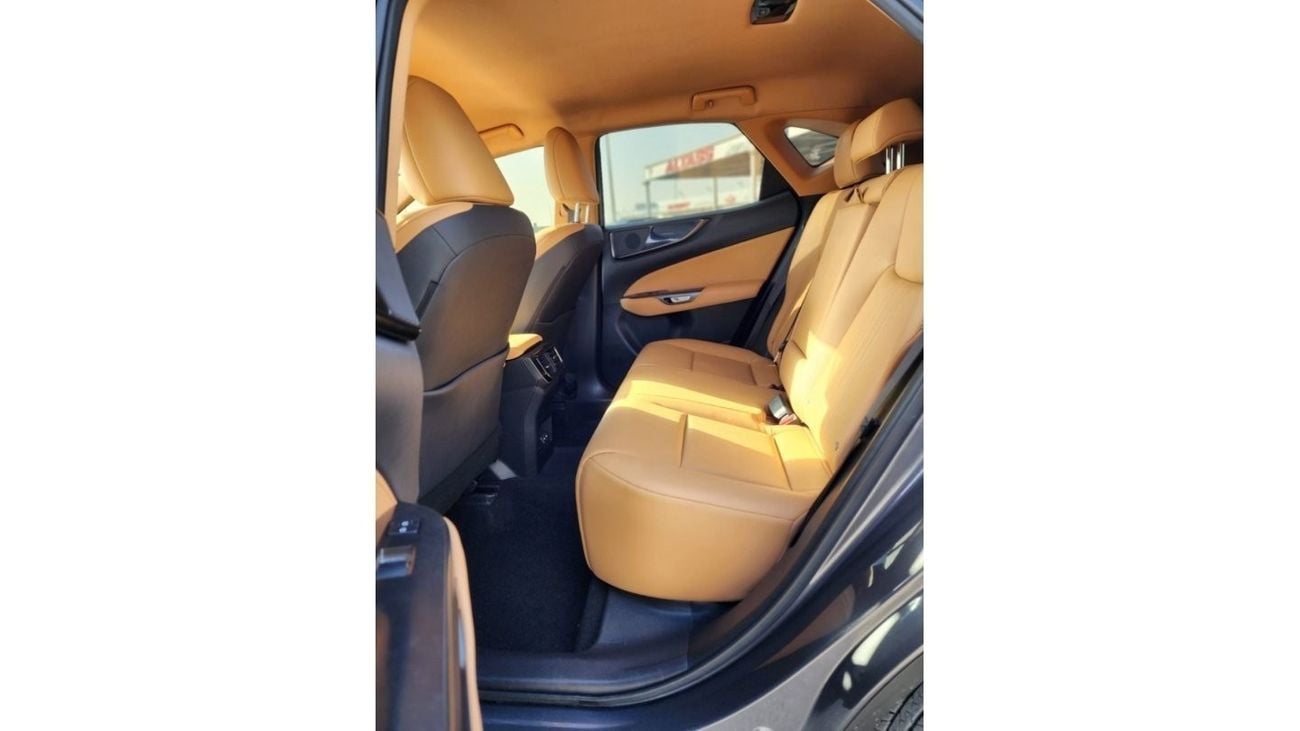 Lexus NX 250 LEXUS NX250 base full option