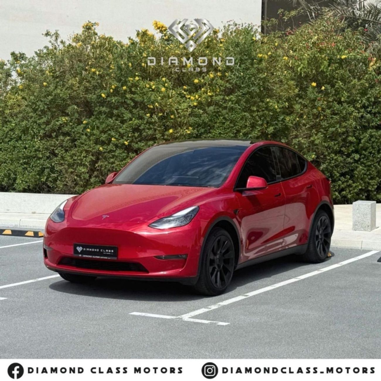Tesla Model Y Long Range GCC