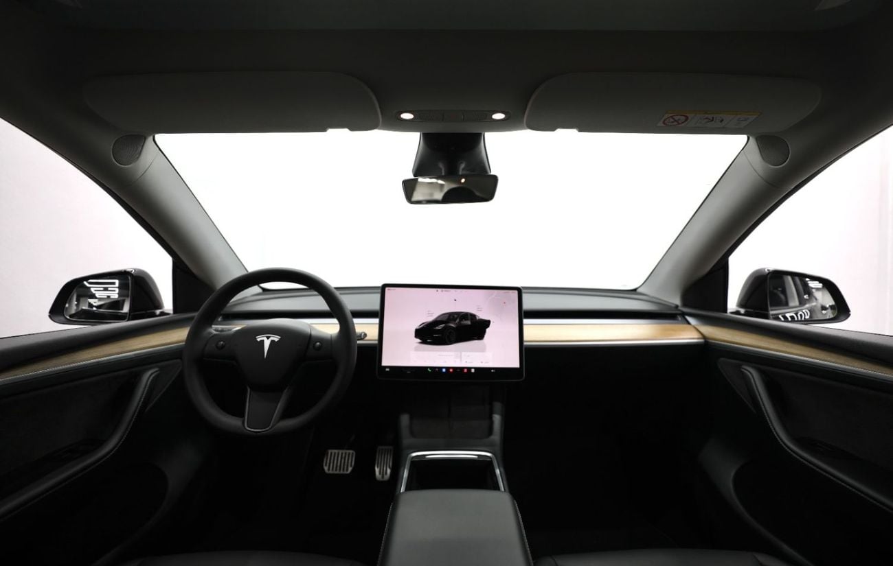 Tesla Model Y PERFORMANCE