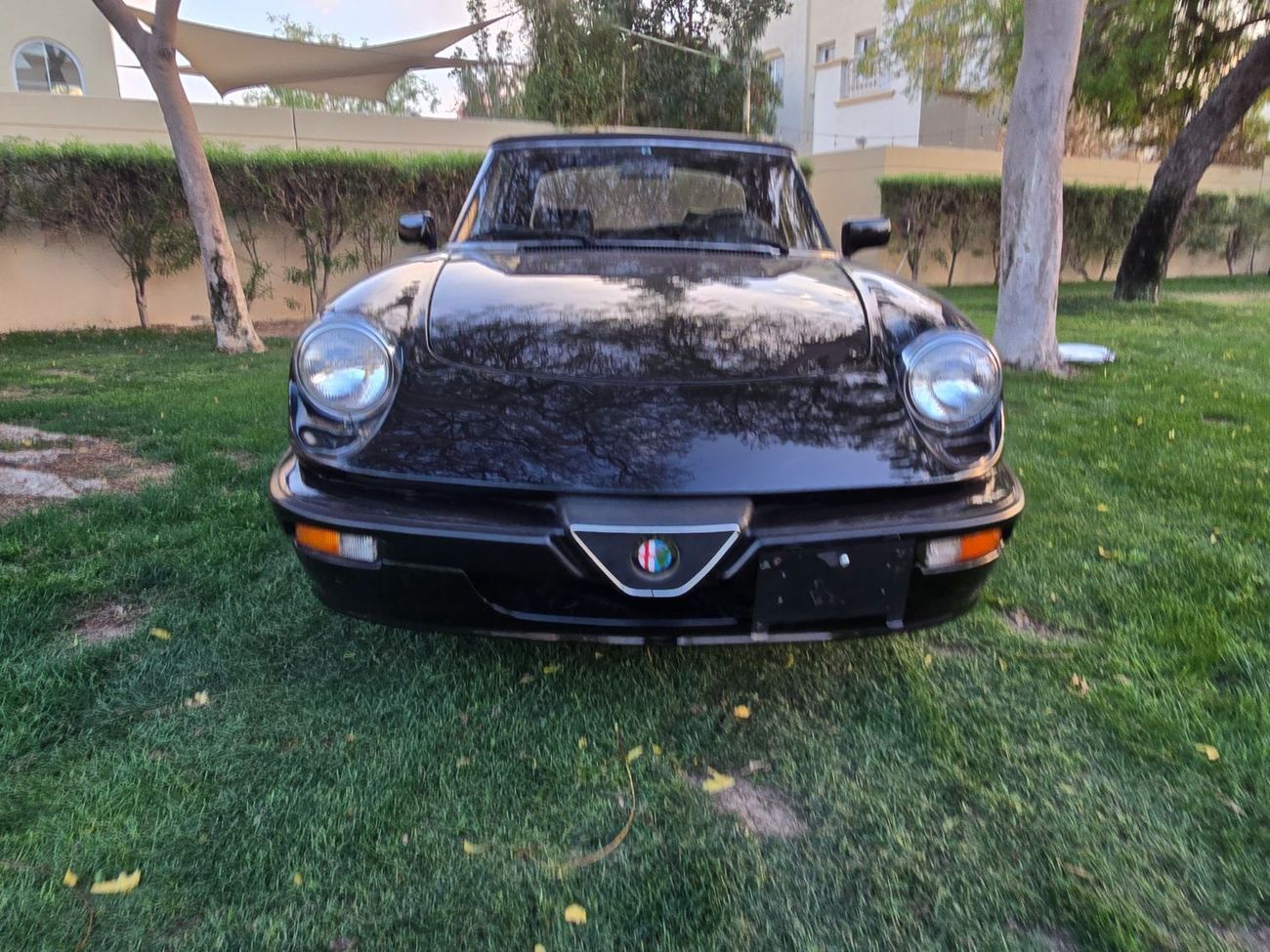 ألفا روميو سبايدر ALFA ROMEO SPIDER VELOCE INJECTION CONVORTEBLE