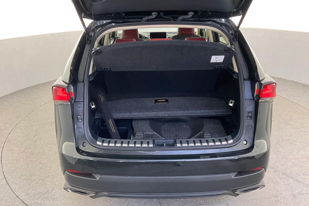 Lexus NX300 Premier | Guaranteed Warranty | 0 Down Payment