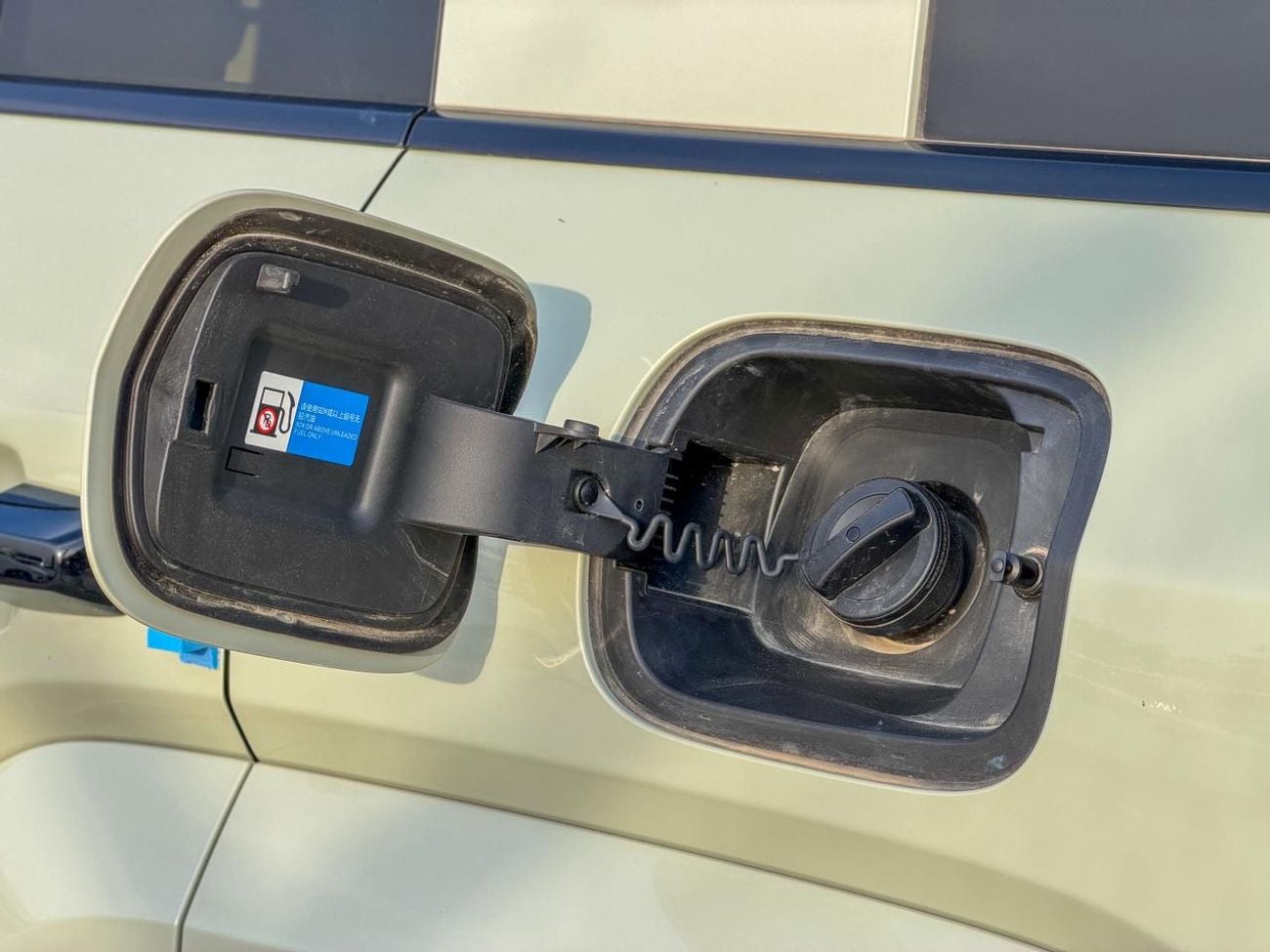 بي واي دي ليوبارد 5