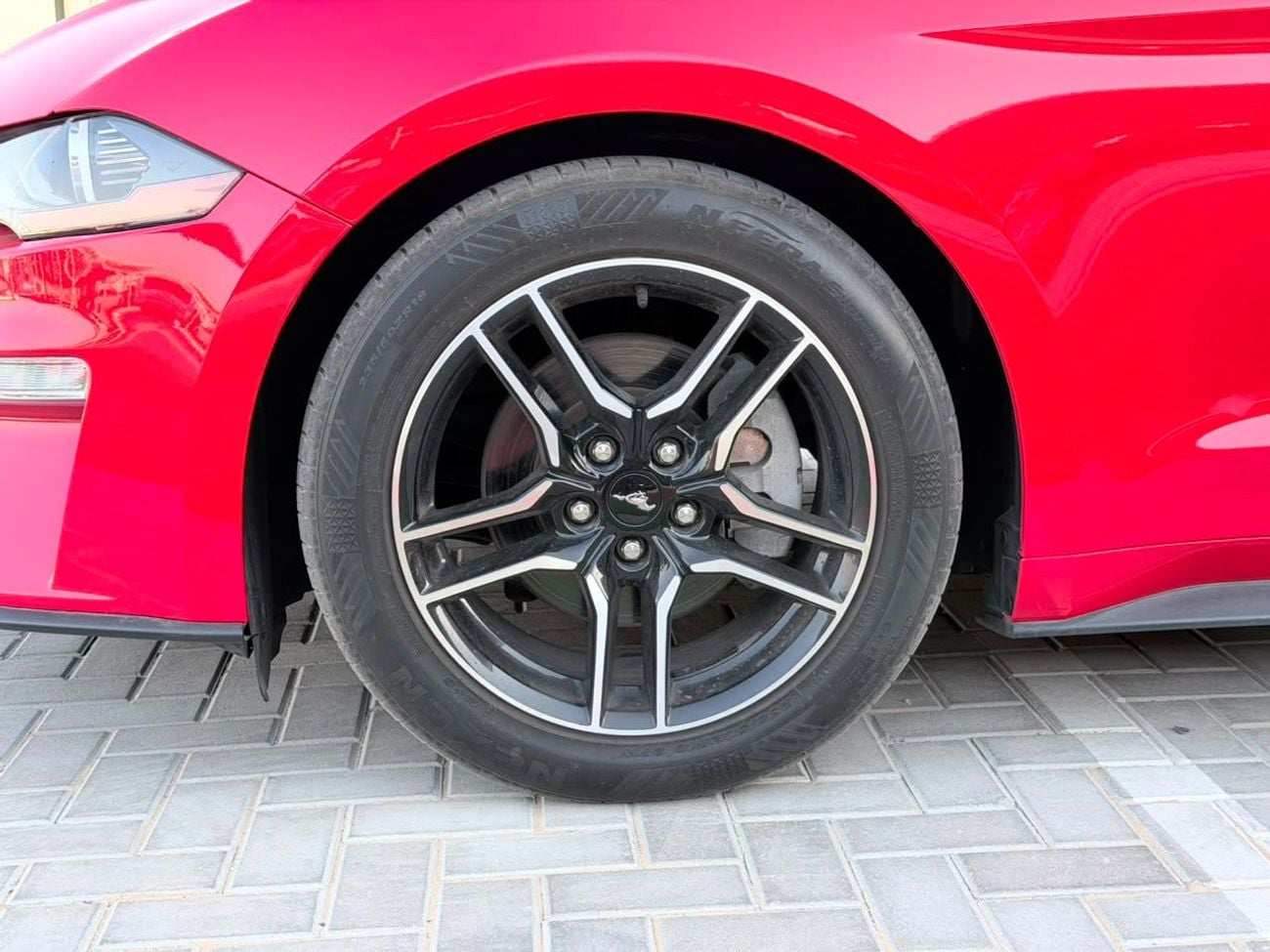 Ford Mustang STD EcoBoost Premium Convertible • 2.3L Turbocharged