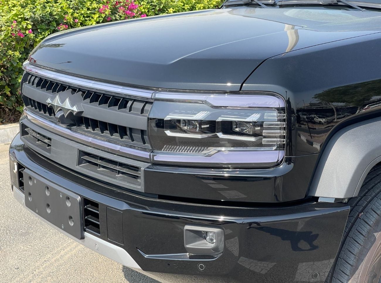 بي واي دي ليوبارد 5 ULTRA -Triple differential lock, High-capacity battery-Hydraulic active, Suspension