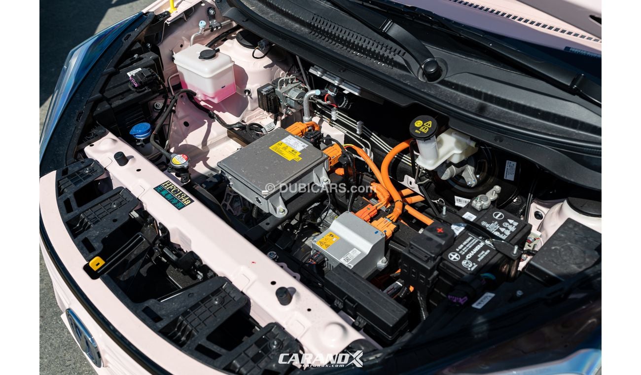 تشنجان بيم إستار 2022 Pink