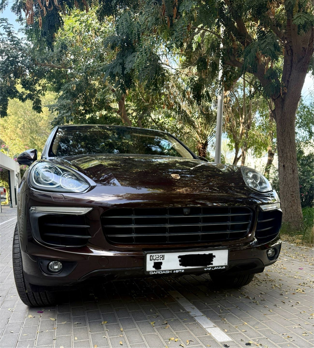 Porsche Cayenne Std 3.6L