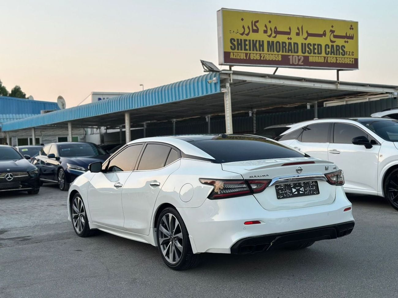 Nissan Maxima SR