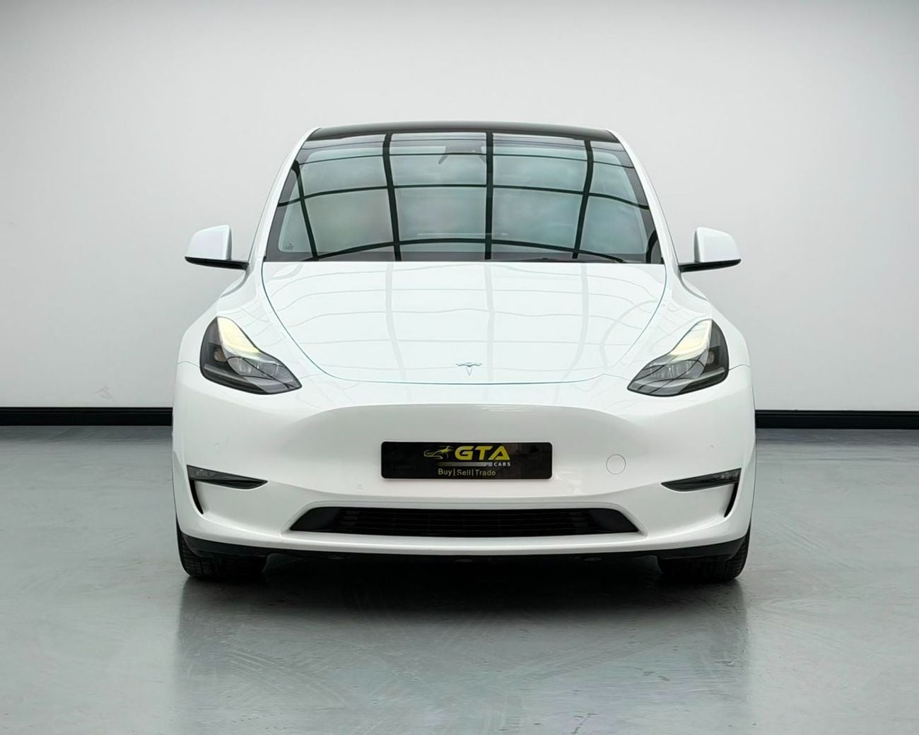 Tesla Model Y LONG RANGE
