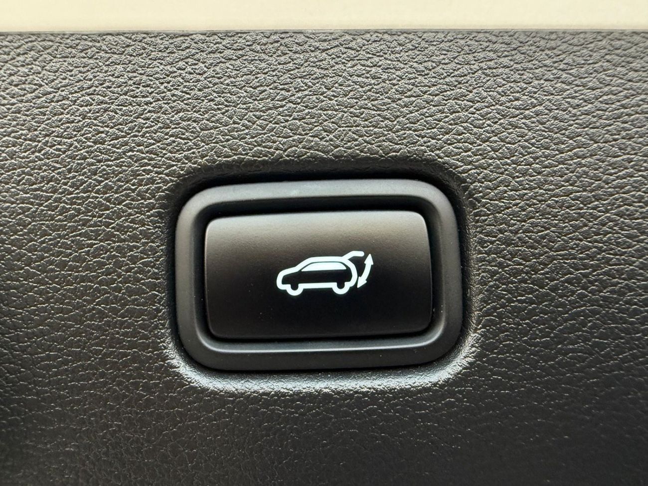 Hyundai Palisade 3.8L GDi (AWD) Premium