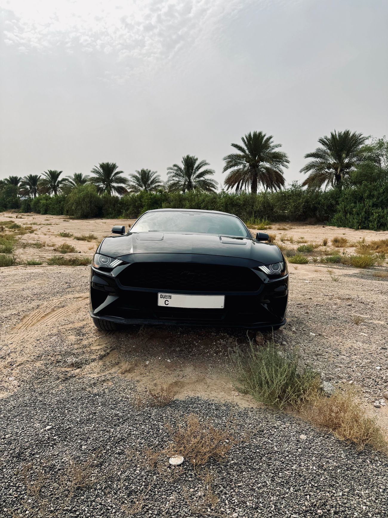 Ford Mustang Ecoboost Premium