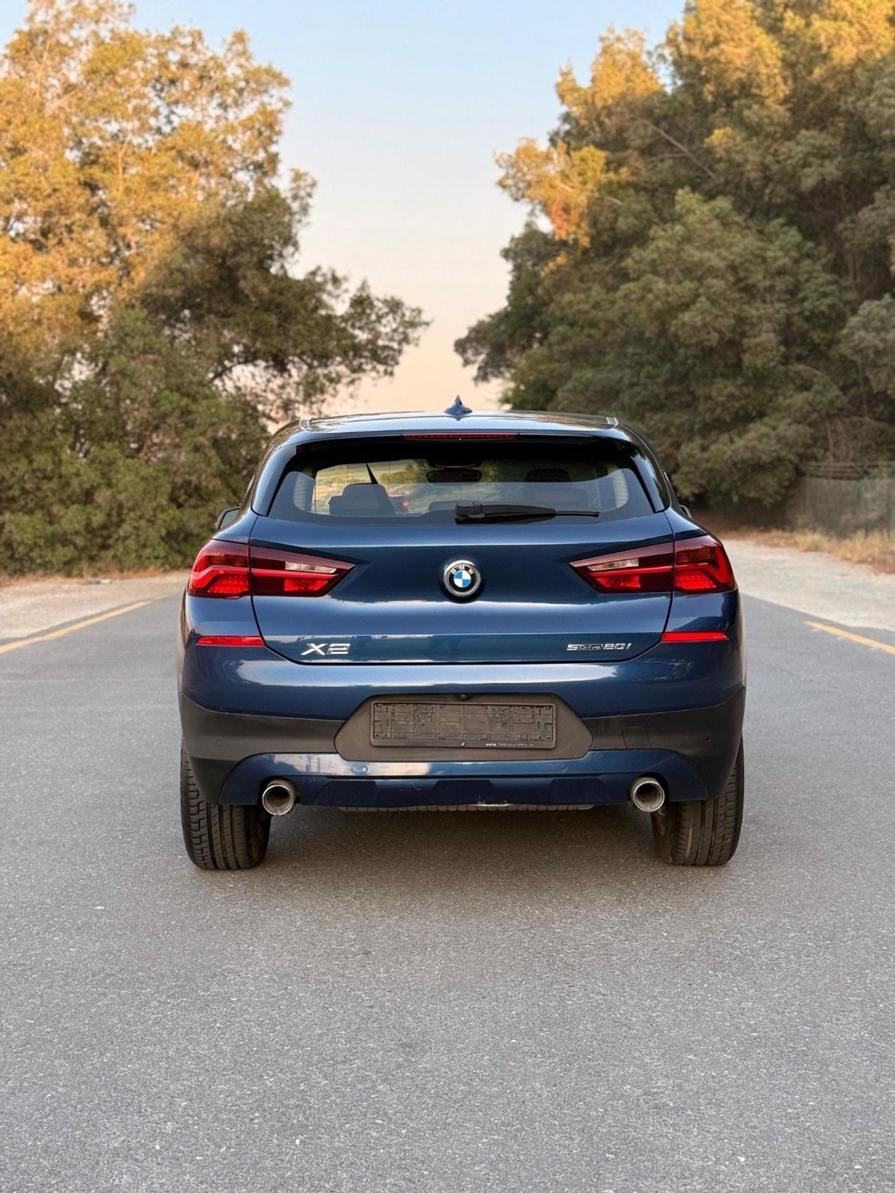 BMW X2 sDrive 20i Sport X 2.0L