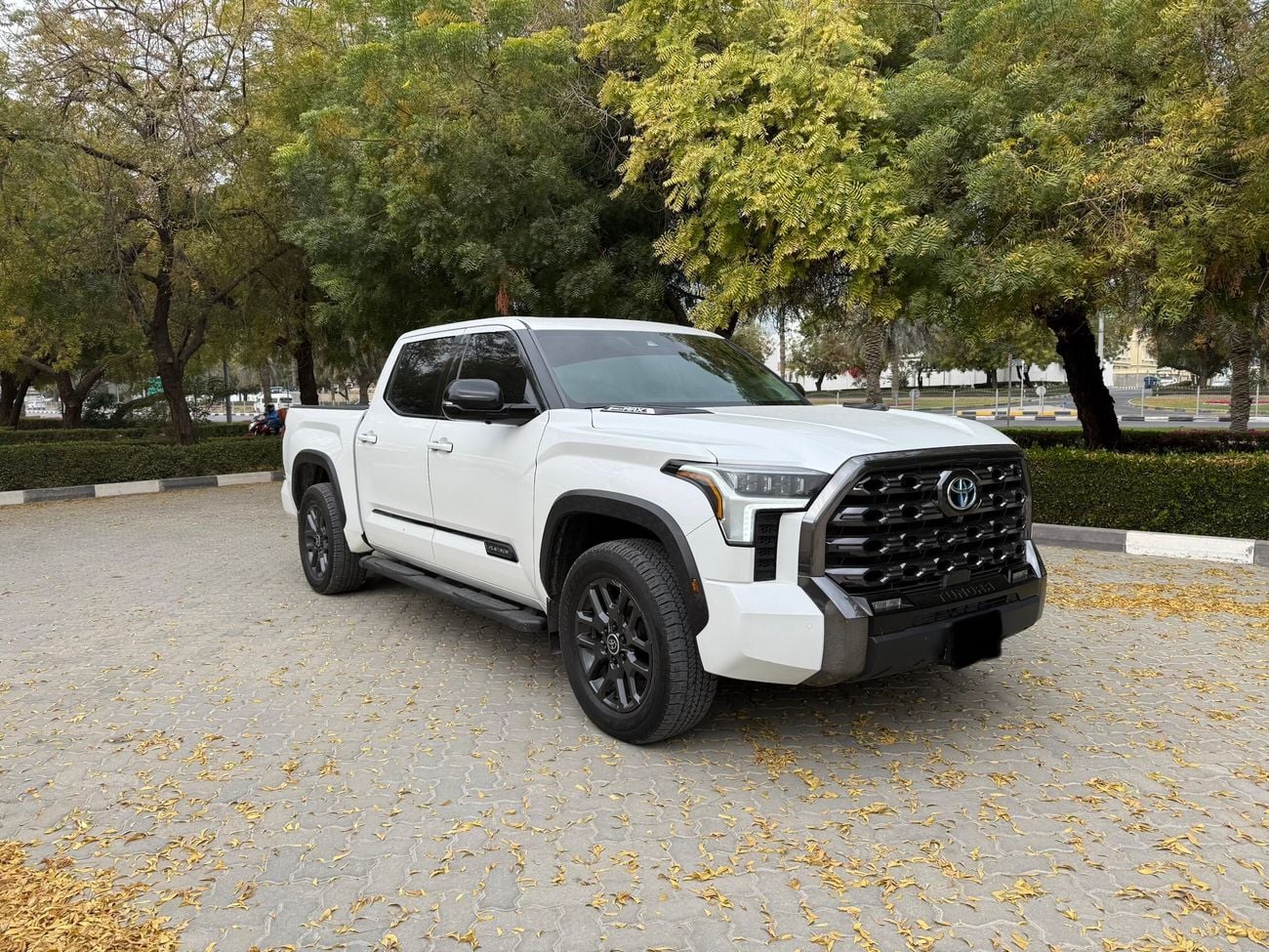 تويوتا تاندرا 1794 Edition Platinum 4x4 Customised 360 camera, panoramic roof